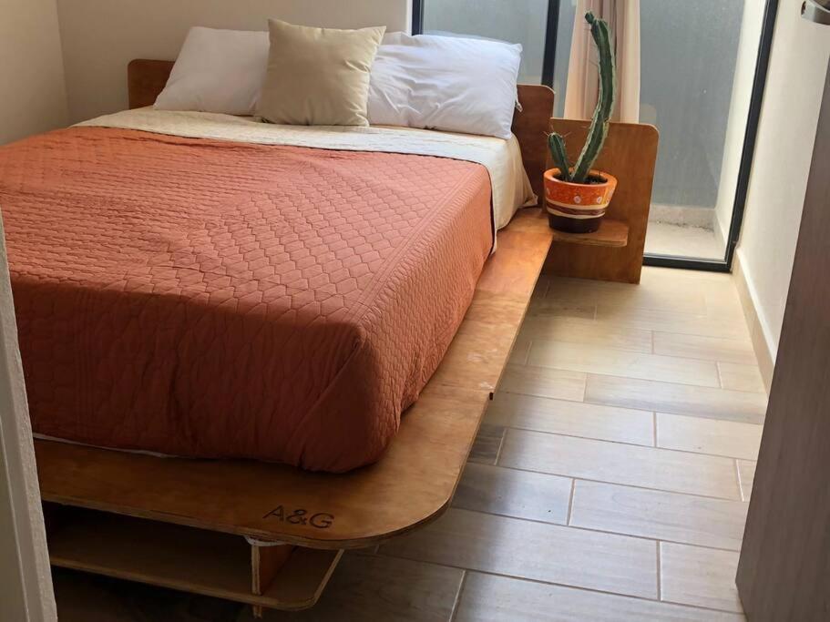 Querido ,arena Ciudad De Appartement *